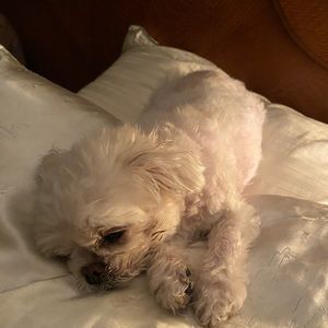 Meet your Posher, Jill